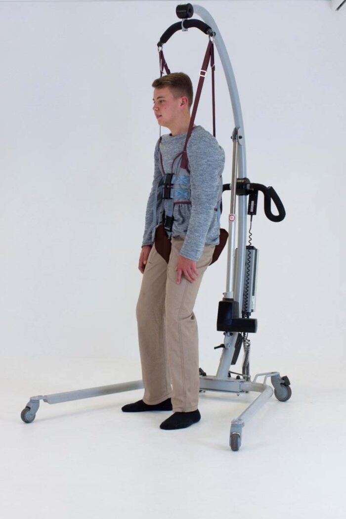 Walking Harness - Image 2