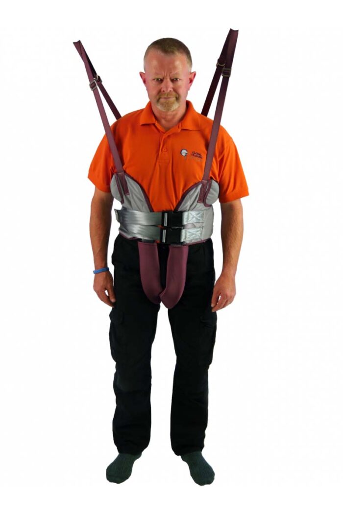 Walking Harness
