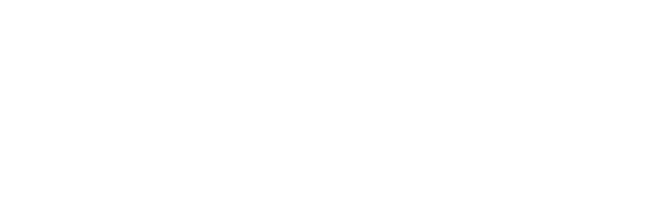 Werfen-Logo Werfen proud partner of Brennan&Co