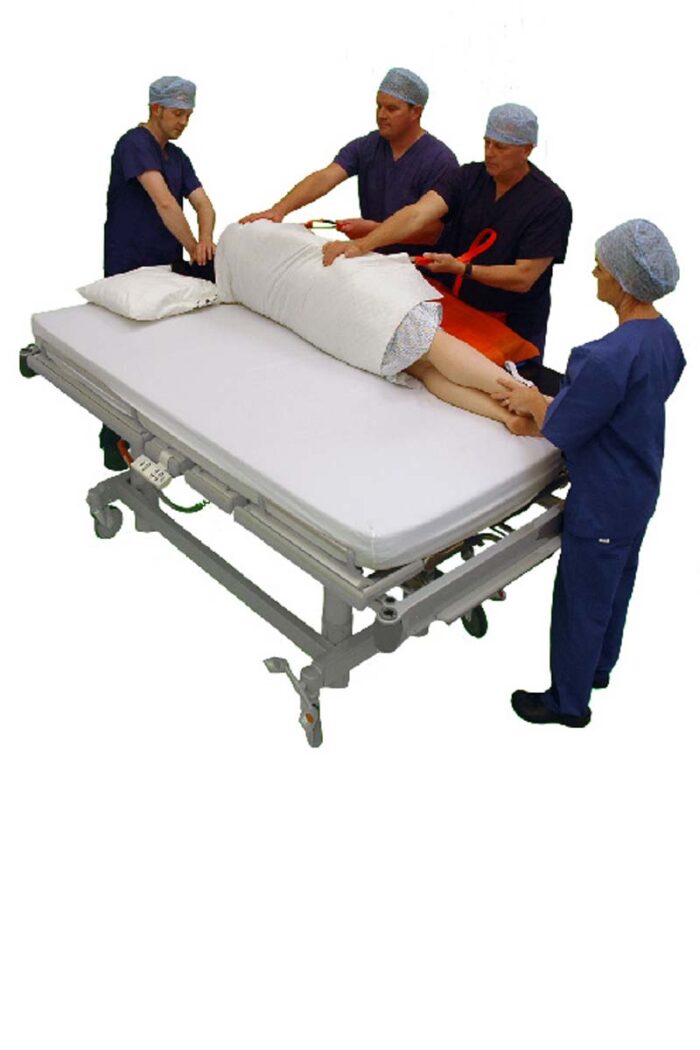 PTSX10S Simple Pro Turn Sheets Disp Per 10 - Image 3