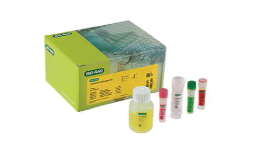 Biorad-iQ-Check-Salmonella-II-PCR-Detection-Kit (1)