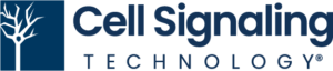 2021 CST LOGO BLUE RGB