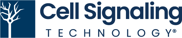 2021 CST LOGO BLUE RGB