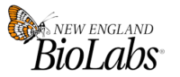 NEB_logo-removebg-preview