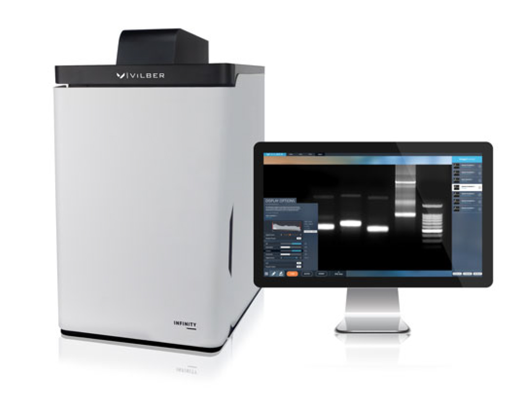 vilber molecular imaging gel documentation