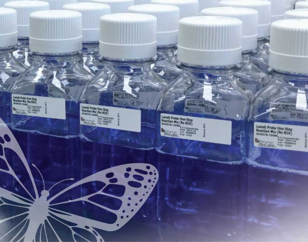 molecular biology. new england biolabs.