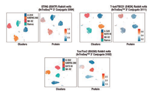 NPI-Flyer–Global-(December)-2025,-EN—1