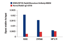 NPI Flyer- Global (February) 2026, EN-03