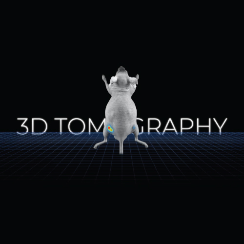 vilber animal imaging