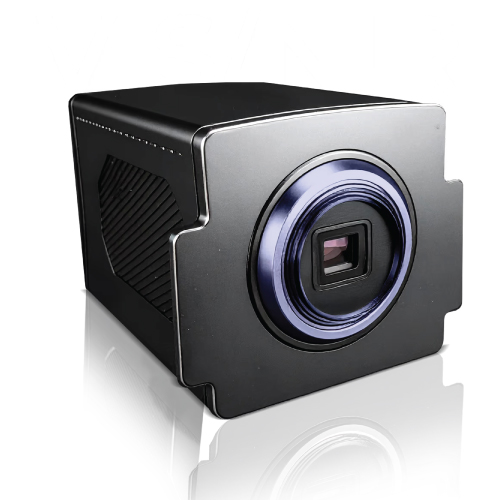 vilber animal imaging