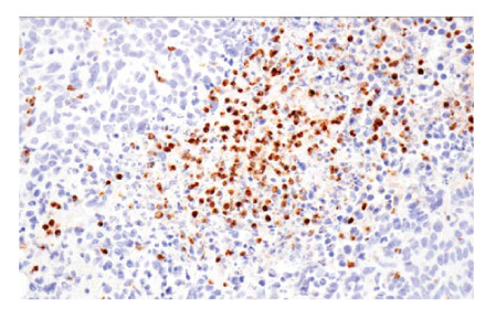 Sep-26-Research-and-Biotech-Newsletter-npi-sep-2026