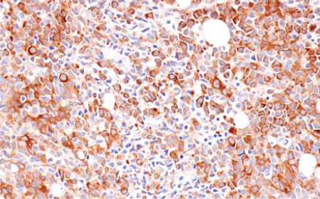 oct-npi-1